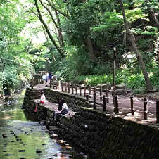 世田谷区：等々力渓谷公園