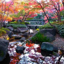 杉並区：大田黒公園